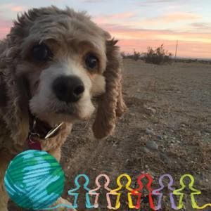 Meet your Posher, Dee